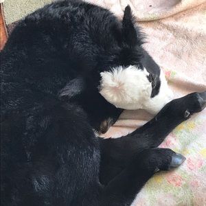 Meet your Posher, Elizabeth